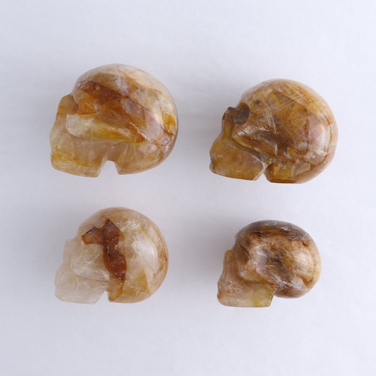 Golden Healer Skulls Set of 4