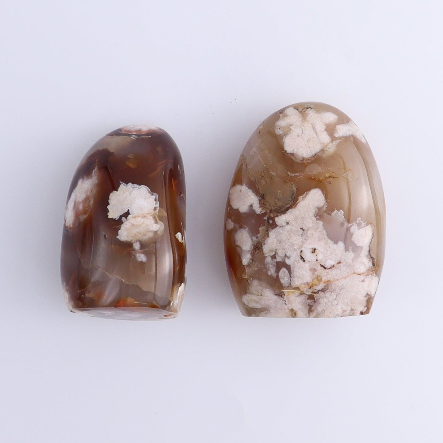 Flower Agate Freeforms Set of 6 - Expert Wholesale and Supplier of Wholesale Crystals & Bulk Gemstones, ["Flower Agate","Freeforms","Madagascar"]