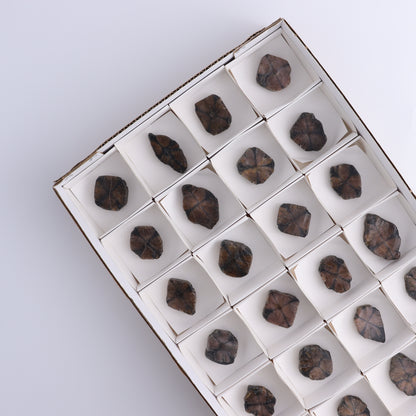 Chiastolite Flat of 24 - Expert Wholesale and Supplier of Wholesale Crystals & Bulk Gemstones, ["chiastolite","China","flat","Flats"]