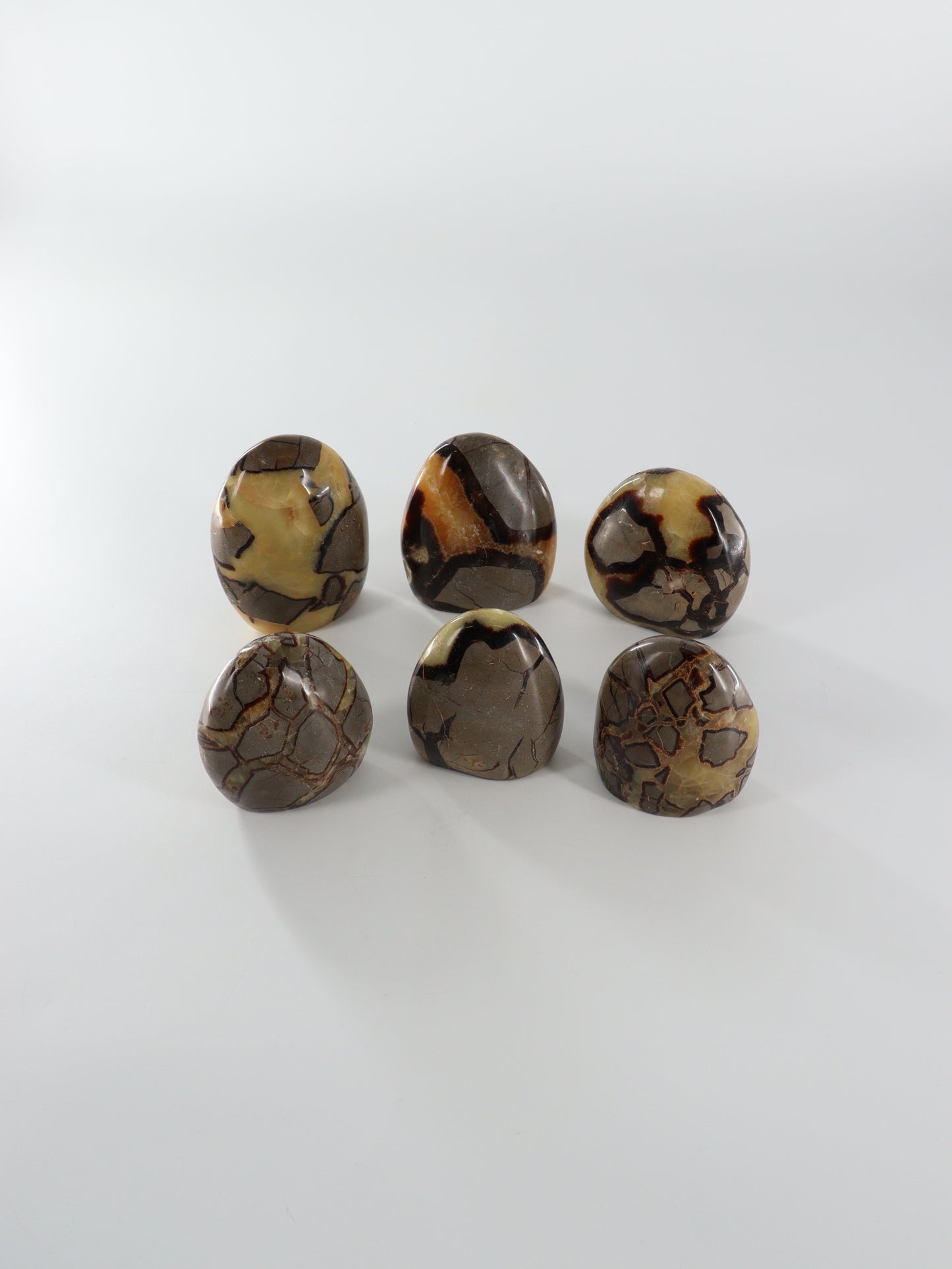 Septarian Freeforms Set of 6 - Expert Wholesale and Supplier of Wholesale Crystals & Bulk Gemstones, []