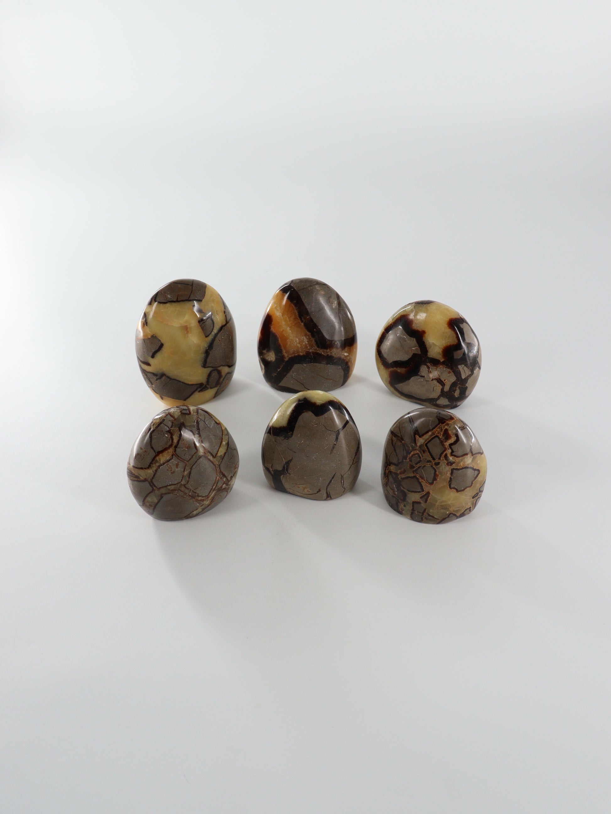 Septarian Freeforms Set of 6 - Expert Wholesale and Supplier of Wholesale Crystals & Bulk Gemstones, []