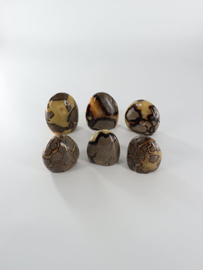 Septarian Freeforms Set of 6 - Expert Wholesale and Supplier of Wholesale Crystals & Bulk Gemstones, []