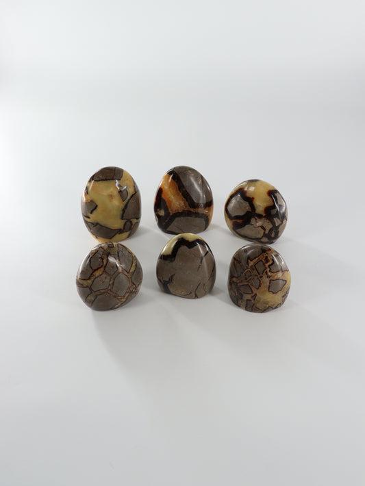 Septarian Freeforms Set of 6 - Expert Wholesale and Supplier of Wholesale Crystals & Bulk Gemstones, []
