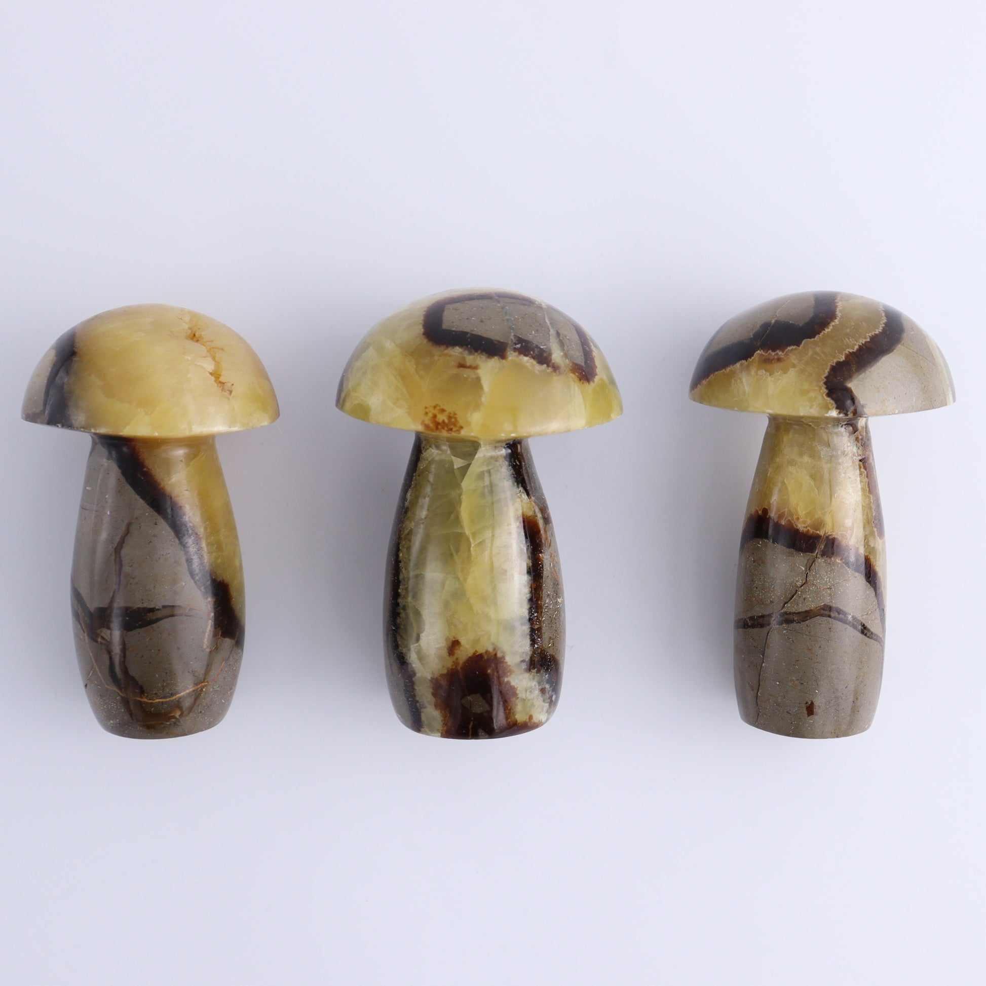 Septarian Mushrooms Set of 6 - Expert Wholesale and Supplier of Wholesale Crystals & Bulk Gemstones, ["Mushrooms","Septarian"]