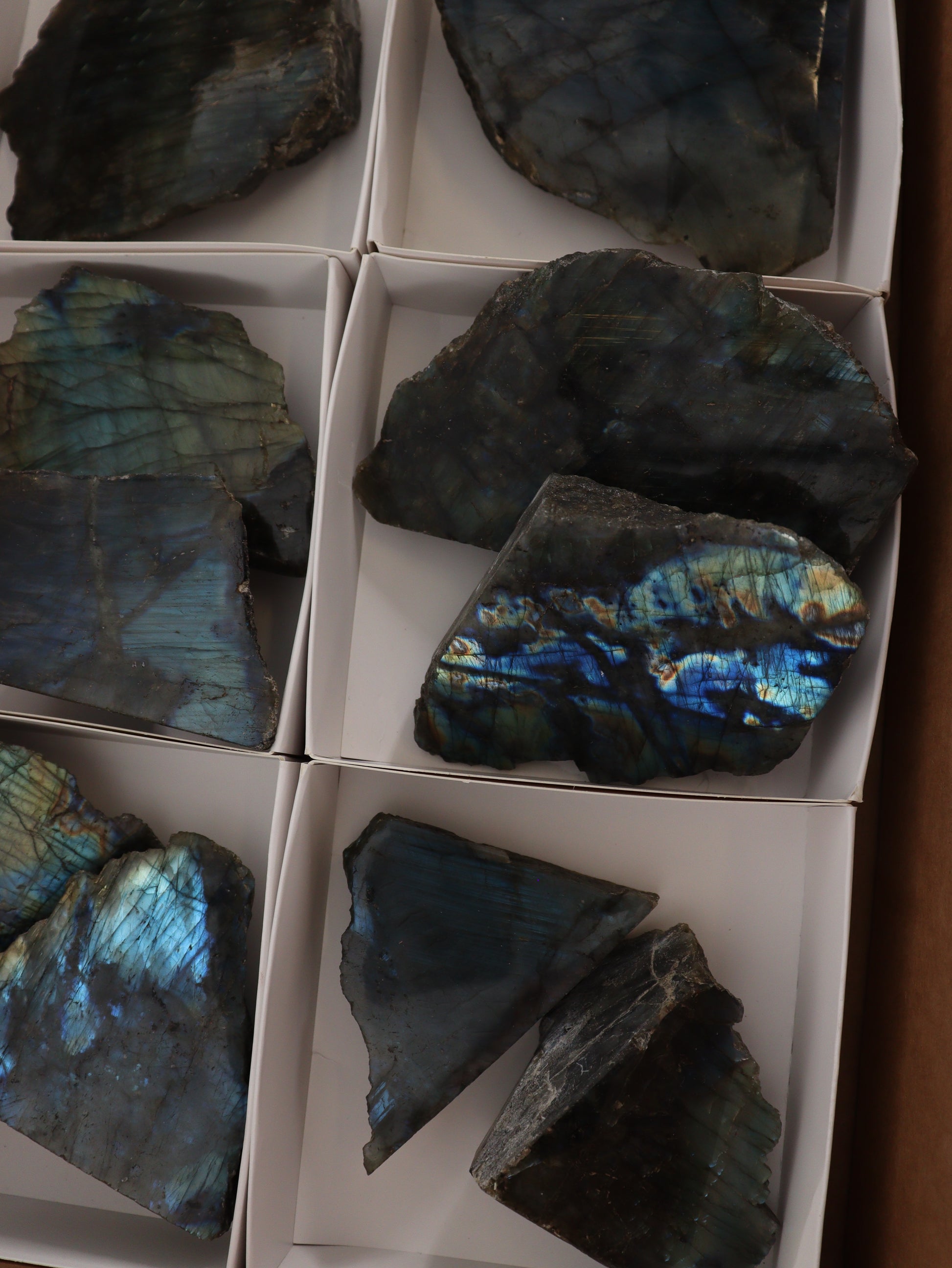 Labradorite Face Polished Flat - Expert Wholesale and Supplier of Wholesale Crystals & Bulk Gemstones, []