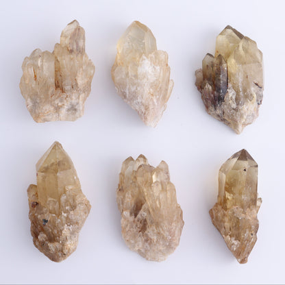 Congo Citrine Set of 12 - Expert Wholesale and Supplier of Wholesale Crystals & Bulk Gemstones, ["Citrine","Congo","Rough","Roughs"]