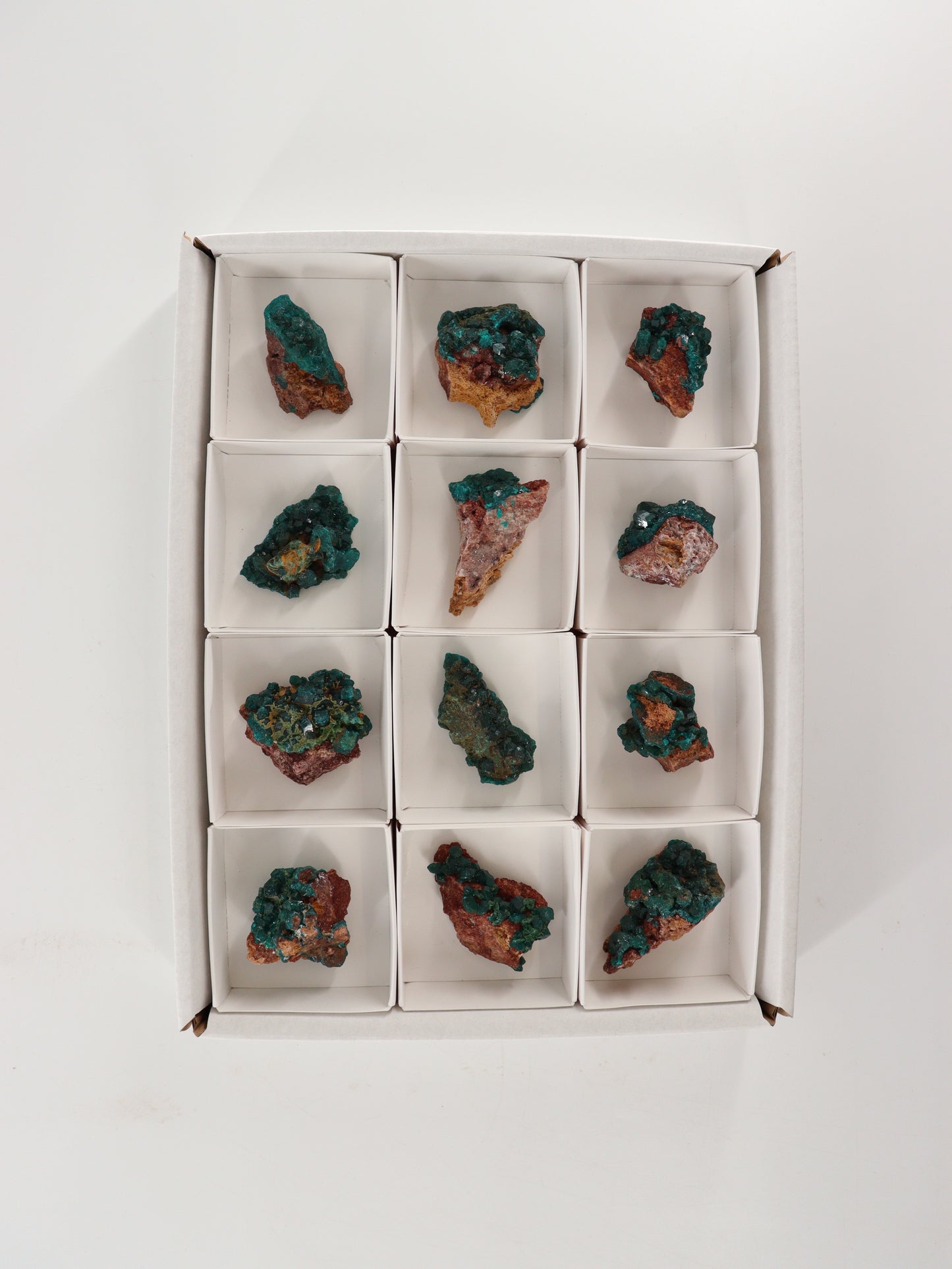 Dioptase Flat Set of 12