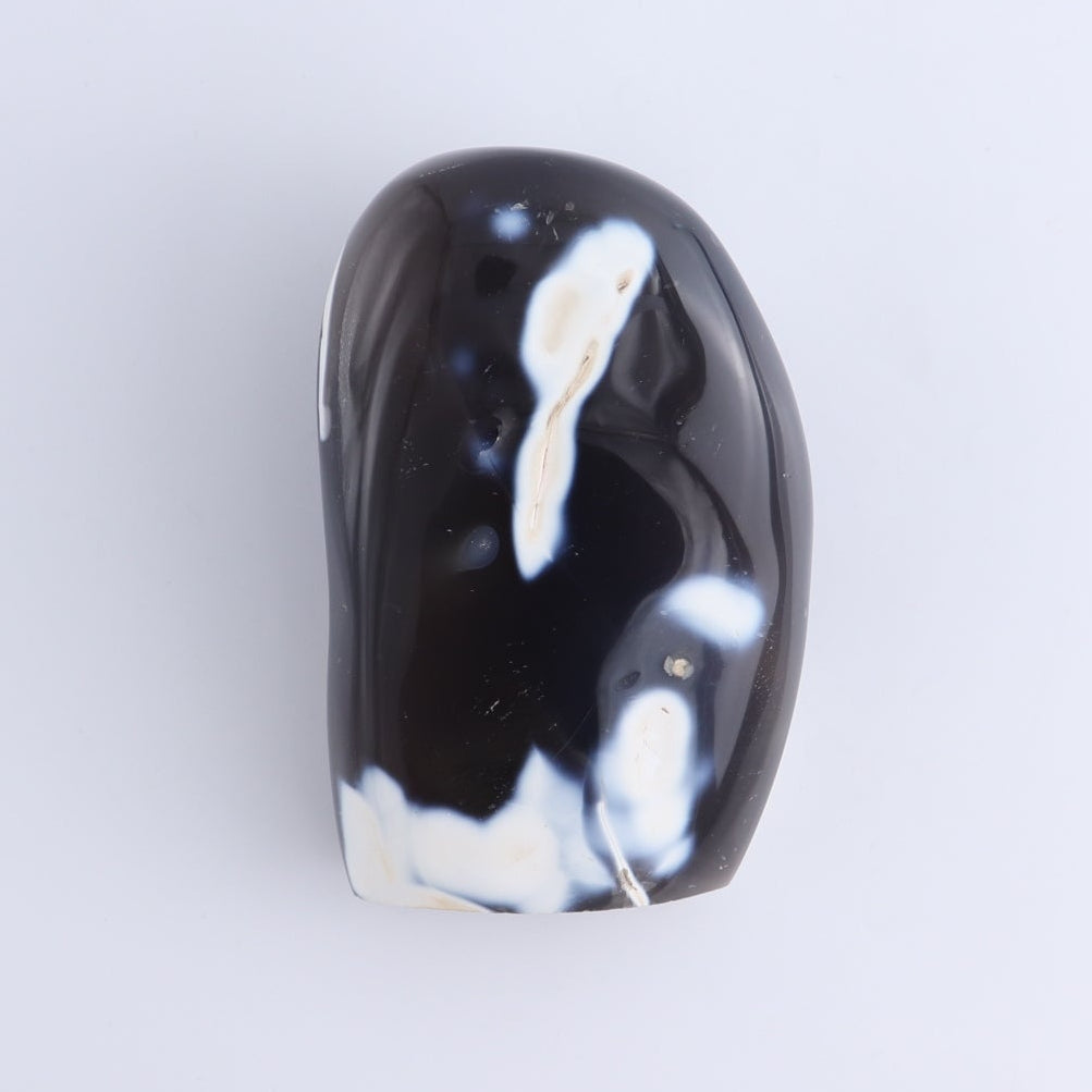 Orca Agate Freeform Set of 4