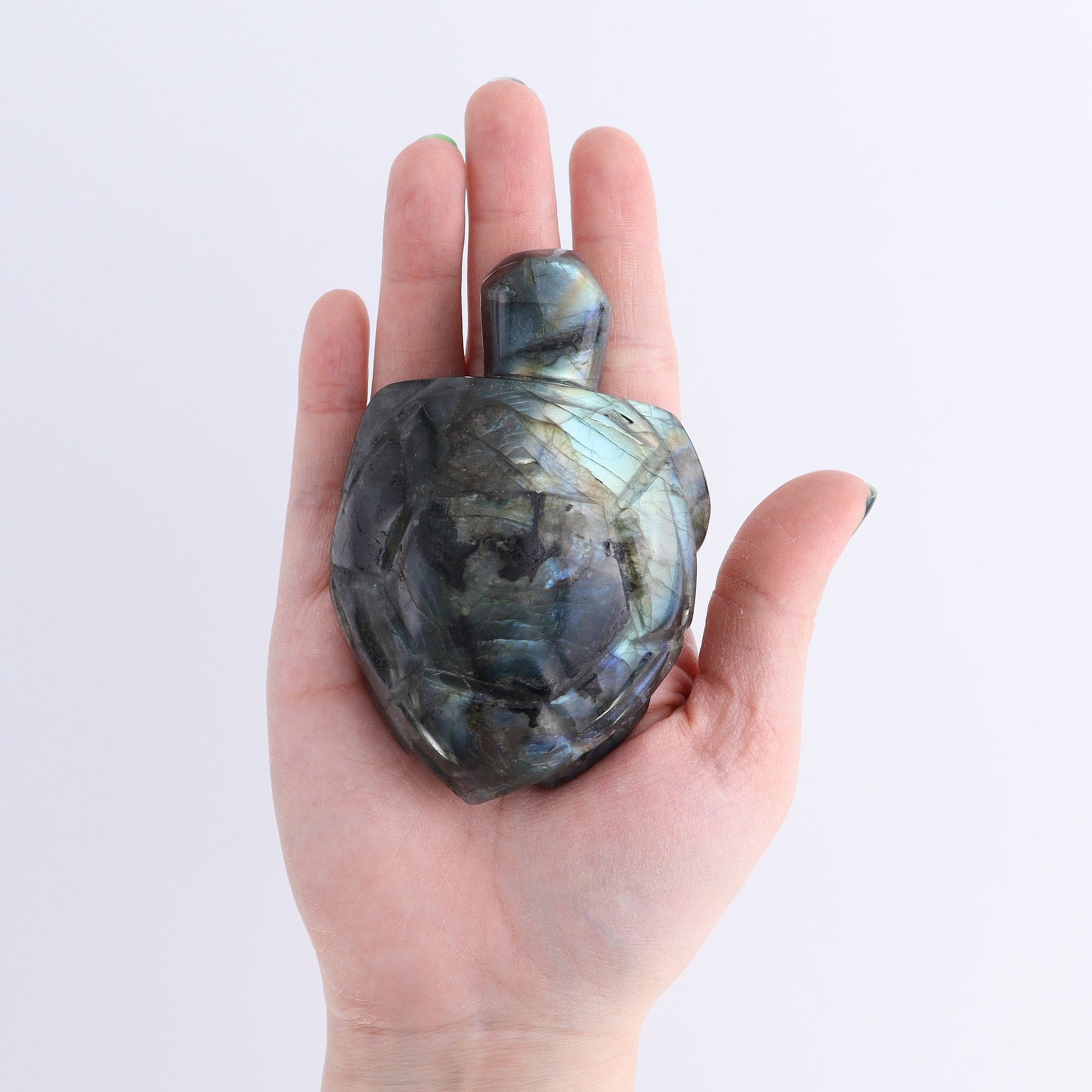 Labradorite Turtles Set of 4 - Expert Wholesale and Supplier of Wholesale Crystals & Bulk Gemstones, ["Labradorite","Madagascar","turtle","Turtles"]