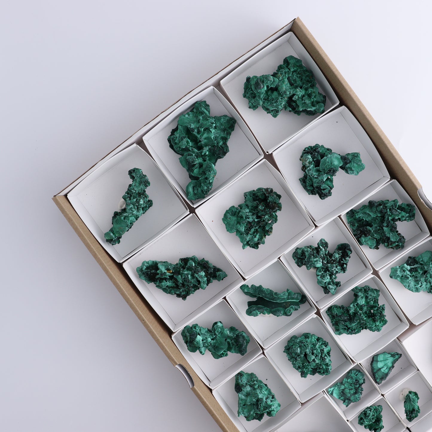 Malachite Freeforms Set of 20 - Expert Wholesale and Supplier of Wholesale Crystals & Bulk Gemstones, ["Freeform","Malachite","South Africa"]