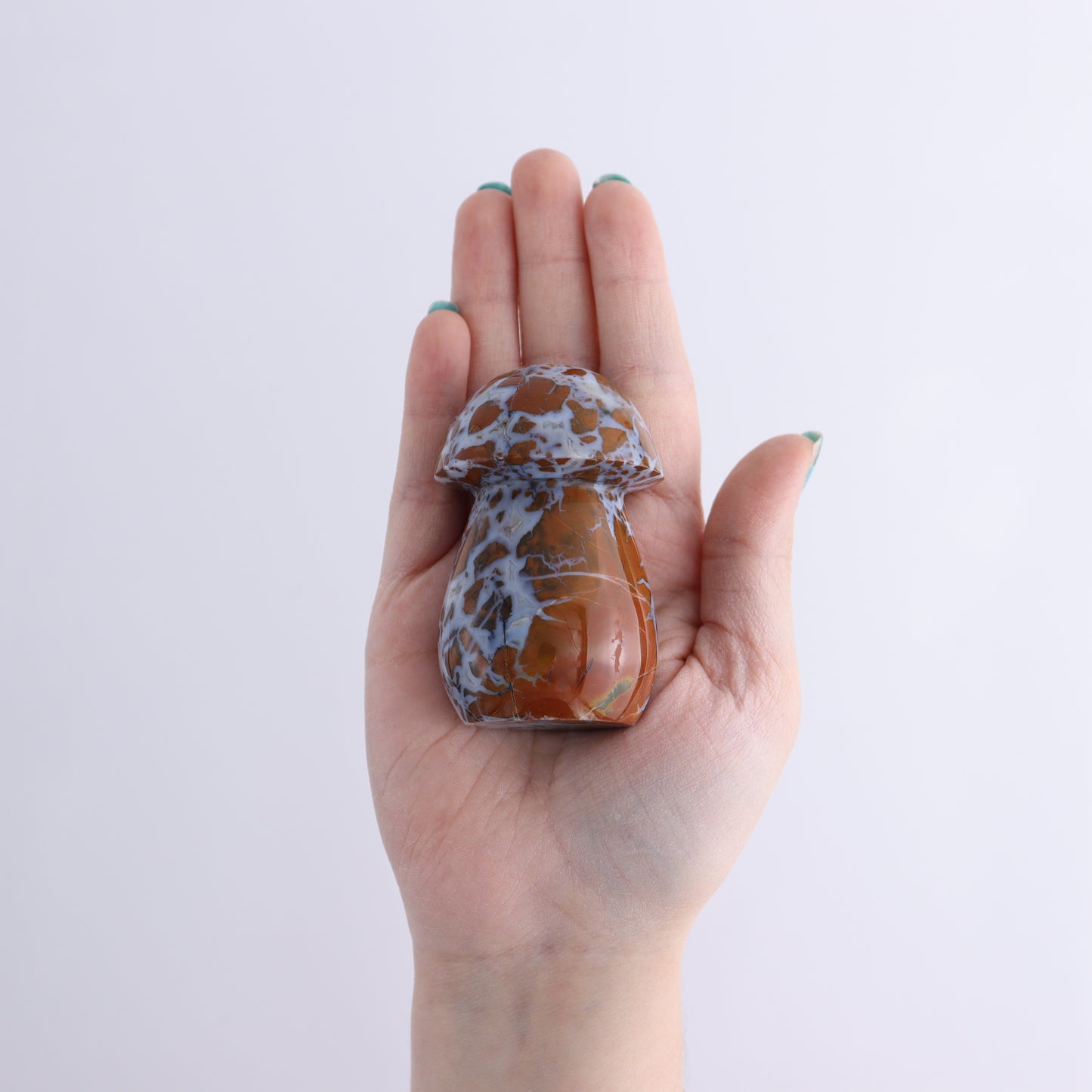 Brecciated Jasper Mushrooms Set of 12 - Expert Wholesale and Supplier of Wholesale Crystals & Bulk Gemstones, ["Brecciated Jasper","Indonesia","Mushrooms"]
