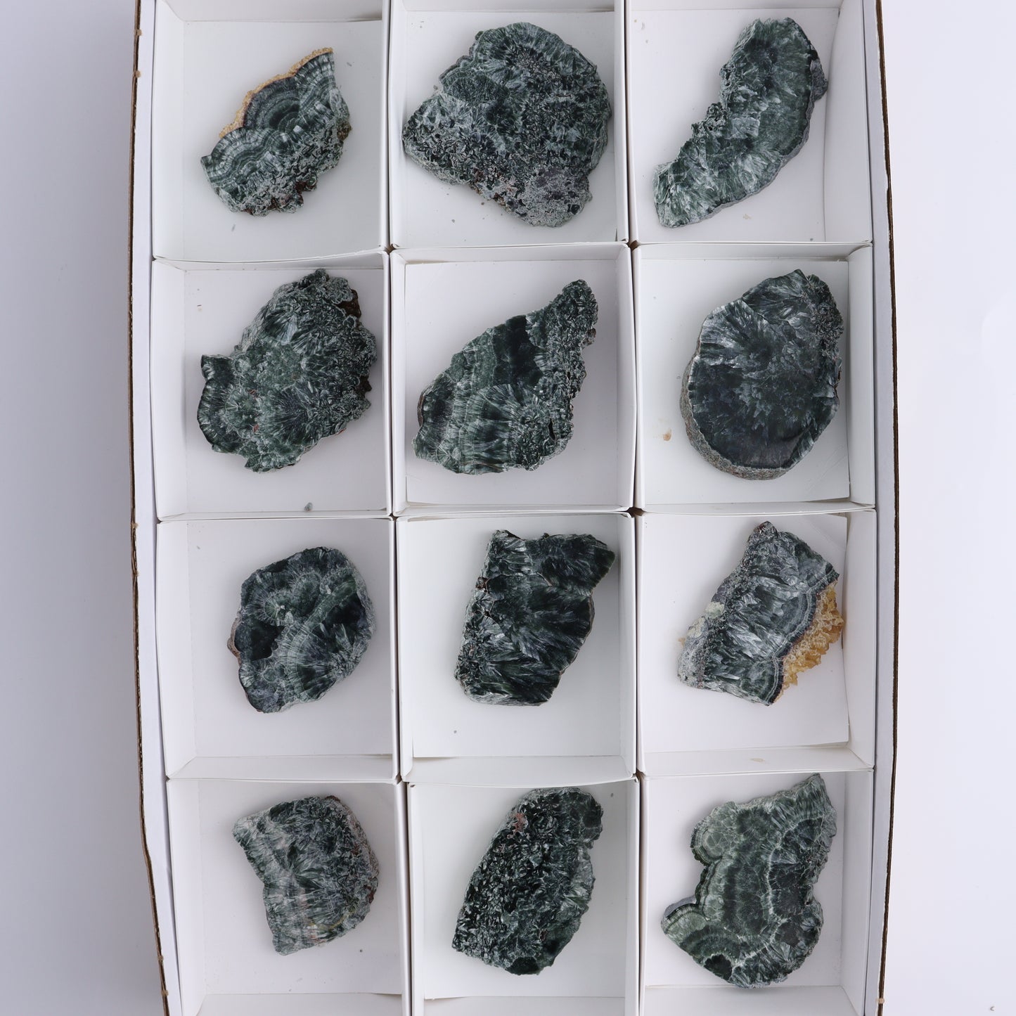 Seraphinite Slices Set of 12 - Expert Wholesale and Supplier of Wholesale Crystals & Bulk Gemstones, ["Seraphinite","Slices and Slabs"]