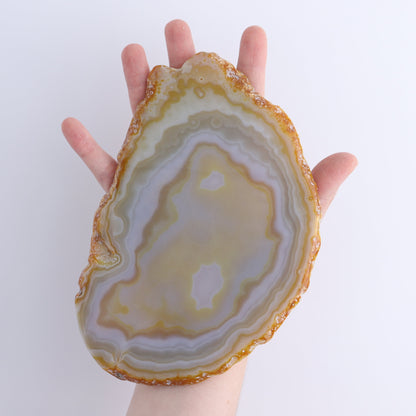 Agate Slices Set of 8 - Expert Wholesale and Supplier of Wholesale Crystals & Bulk Gemstones, ["Agate","Slices and Slabs"]