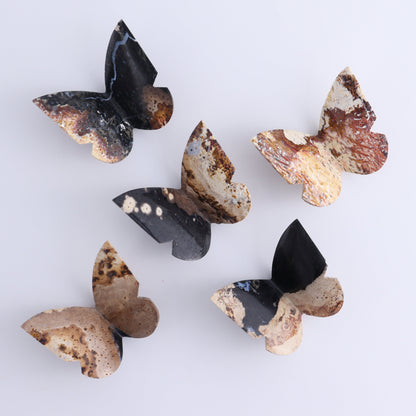 One Palm Root Agate Butterfly - Expert Wholesale and Supplier of Wholesale Crystals & Bulk Gemstones, ["Agate","Butterflies","Butterfly","Palm Root"]
