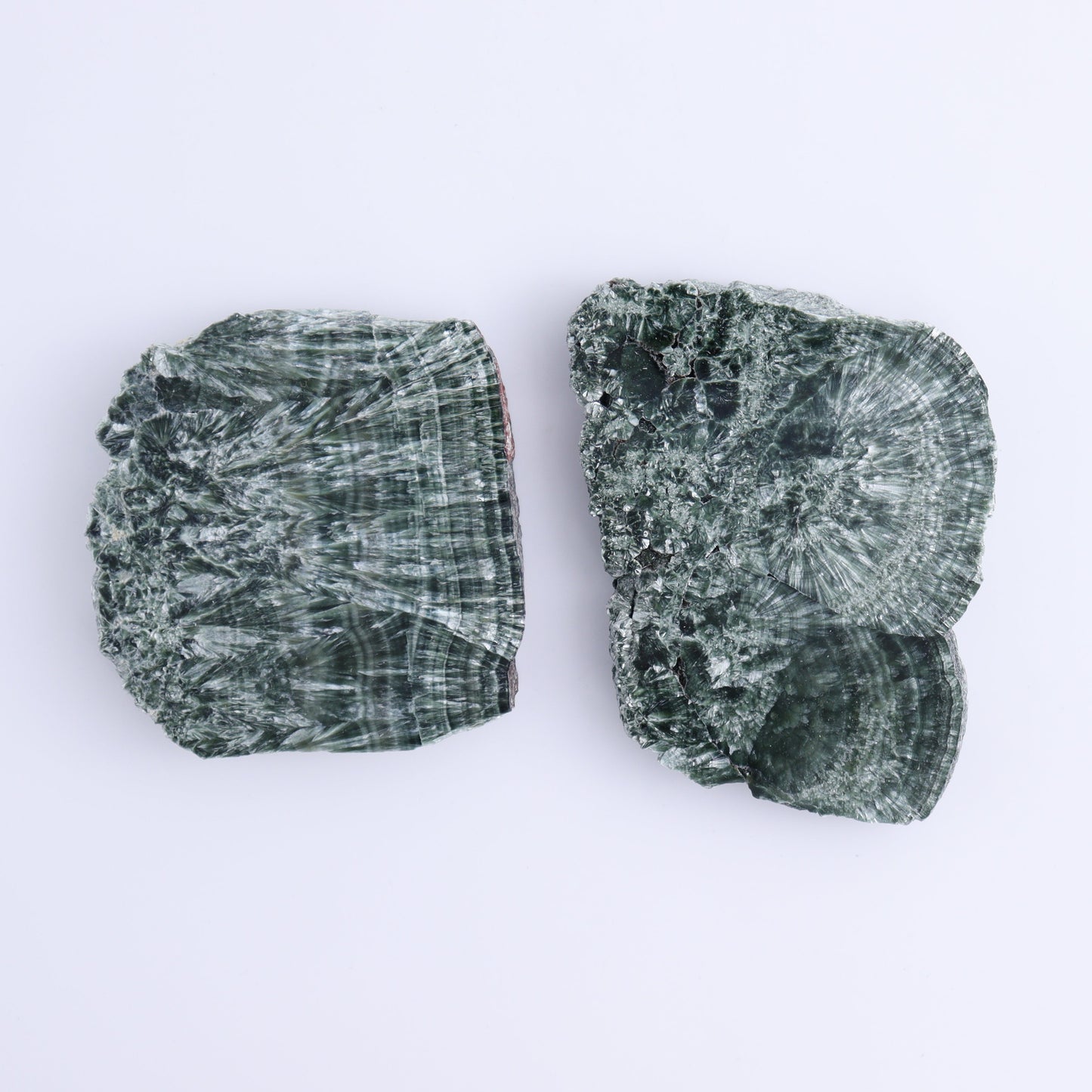 Seraphinite Slices Set of 6 - Expert Wholesale and Supplier of Wholesale Crystals & Bulk Gemstones, ["Russia","Seraphinite","Slices and Slabs"]