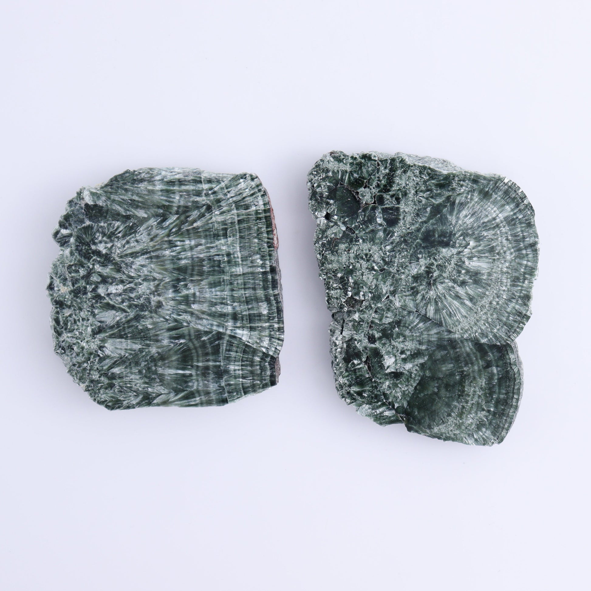 Seraphinite Slices Set of 6 - Expert Wholesale and Supplier of Wholesale Crystals & Bulk Gemstones, ["Russia","Seraphinite","Slices and Slabs"]