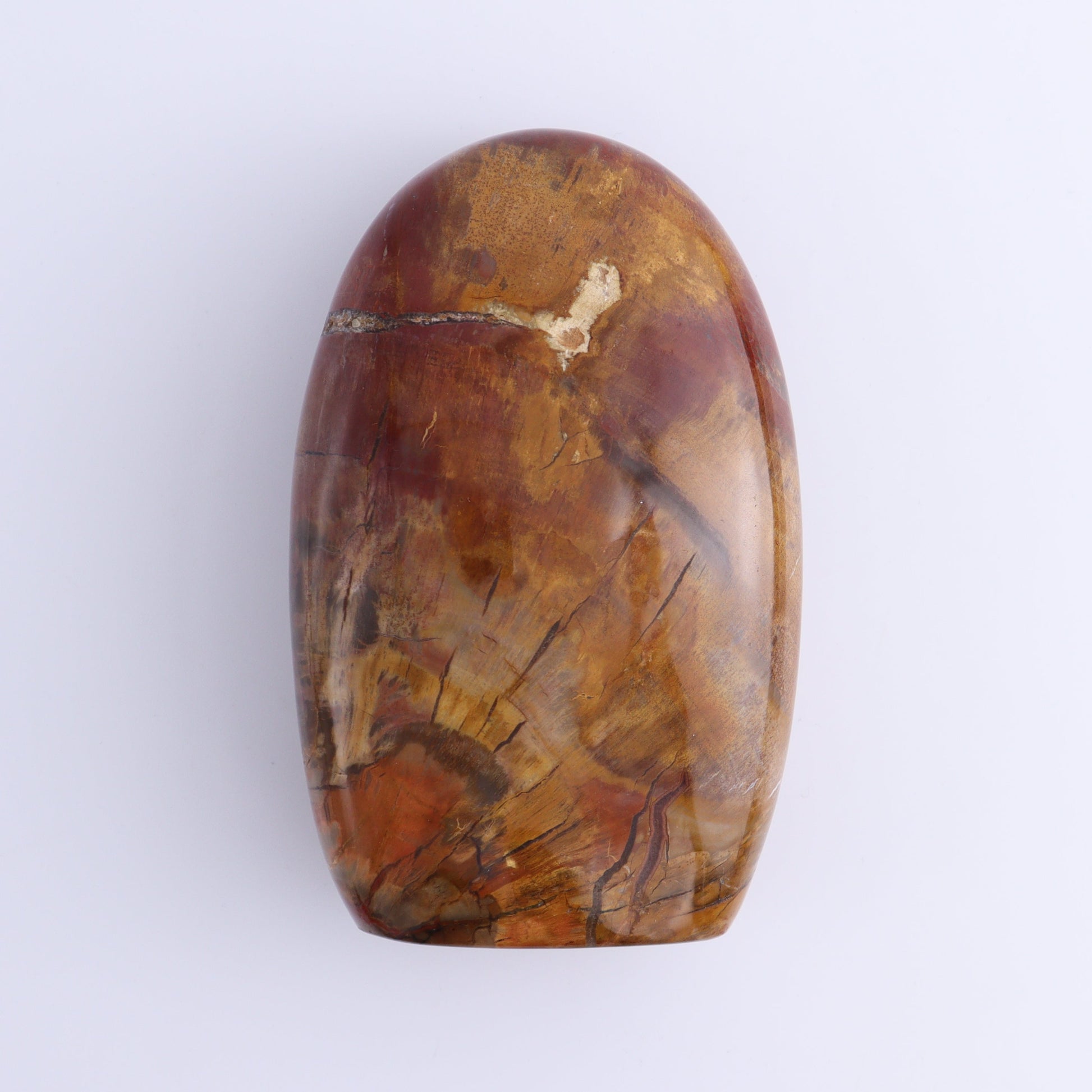 Petrified Wood Freeforms Set of 3 - Expert Wholesale and Supplier of Wholesale Crystals & Bulk Gemstones, ["Freeform","Freeforms","Madagascar","Petrified Wood"]