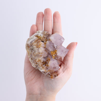 Cactus Quartz Set of 12 - Expert Wholesale and Supplier of Wholesale Crystals & Bulk Gemstones, ["cactus quartz","Quartz","South Africa"]