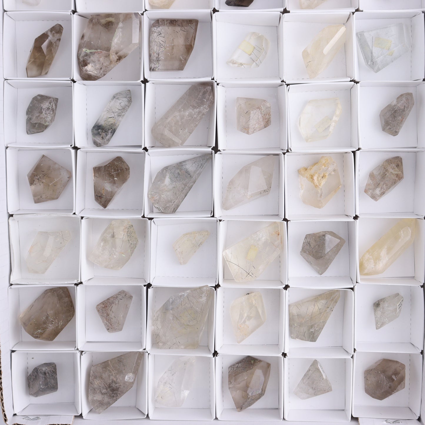 Quartz with Inclusions Feeforms Set of 54