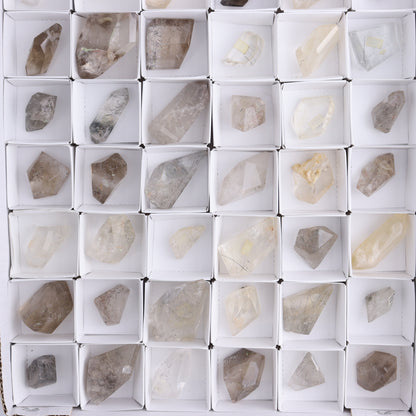 Quartz with Inclusions Feeforms Set of 54