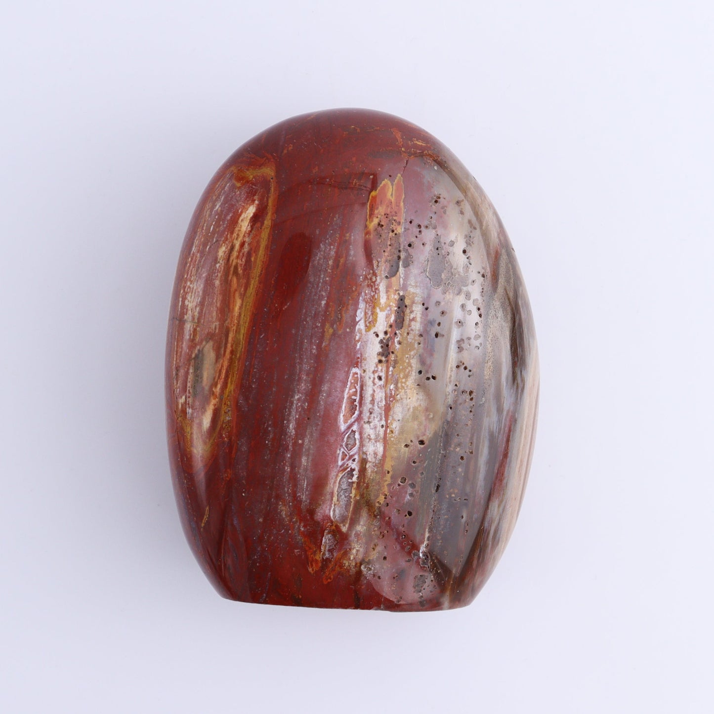 Petrified Wood Freeforms Set of 3 - Expert Wholesale and Supplier of Wholesale Crystals & Bulk Gemstones, ["Freeform","Freeforms","Madagascar","Petrified Wood"]