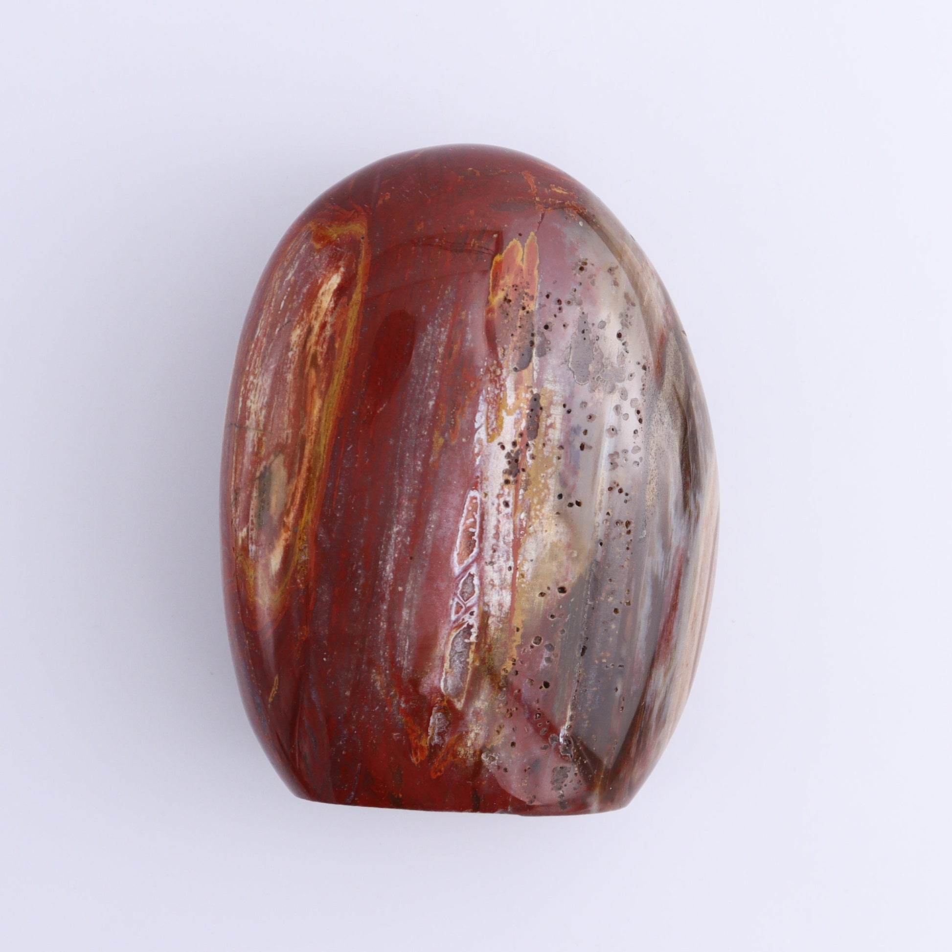 Petrified Wood Freeforms Set of 3 - Expert Wholesale and Supplier of Wholesale Crystals & Bulk Gemstones, ["Freeform","Freeforms","Madagascar","Petrified Wood"]