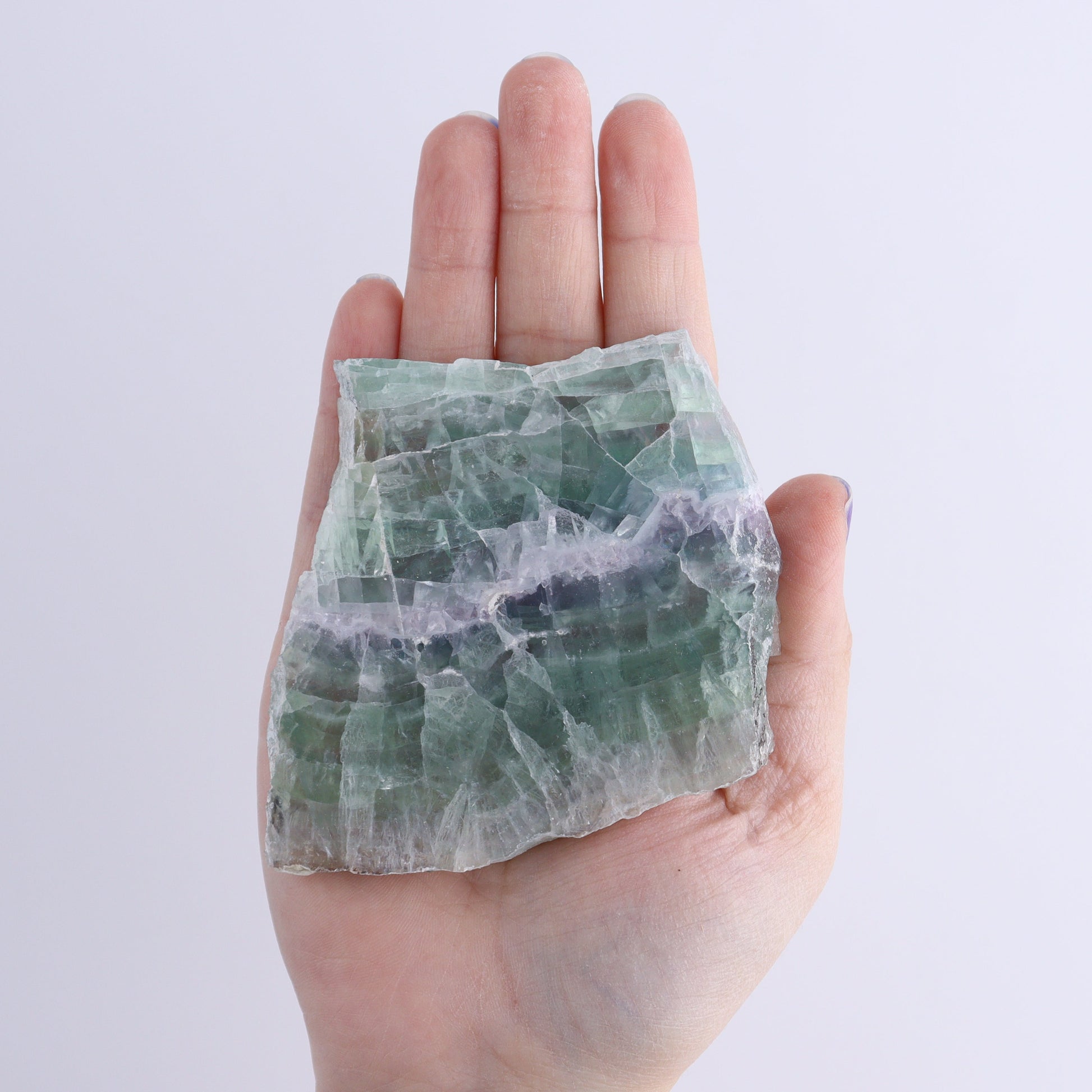 Fluorite Face Polished Set of 5 - Expert Wholesale and Supplier of Wholesale Crystals & Bulk Gemstones, ["Face Polished","Fluorite","Mexico"]