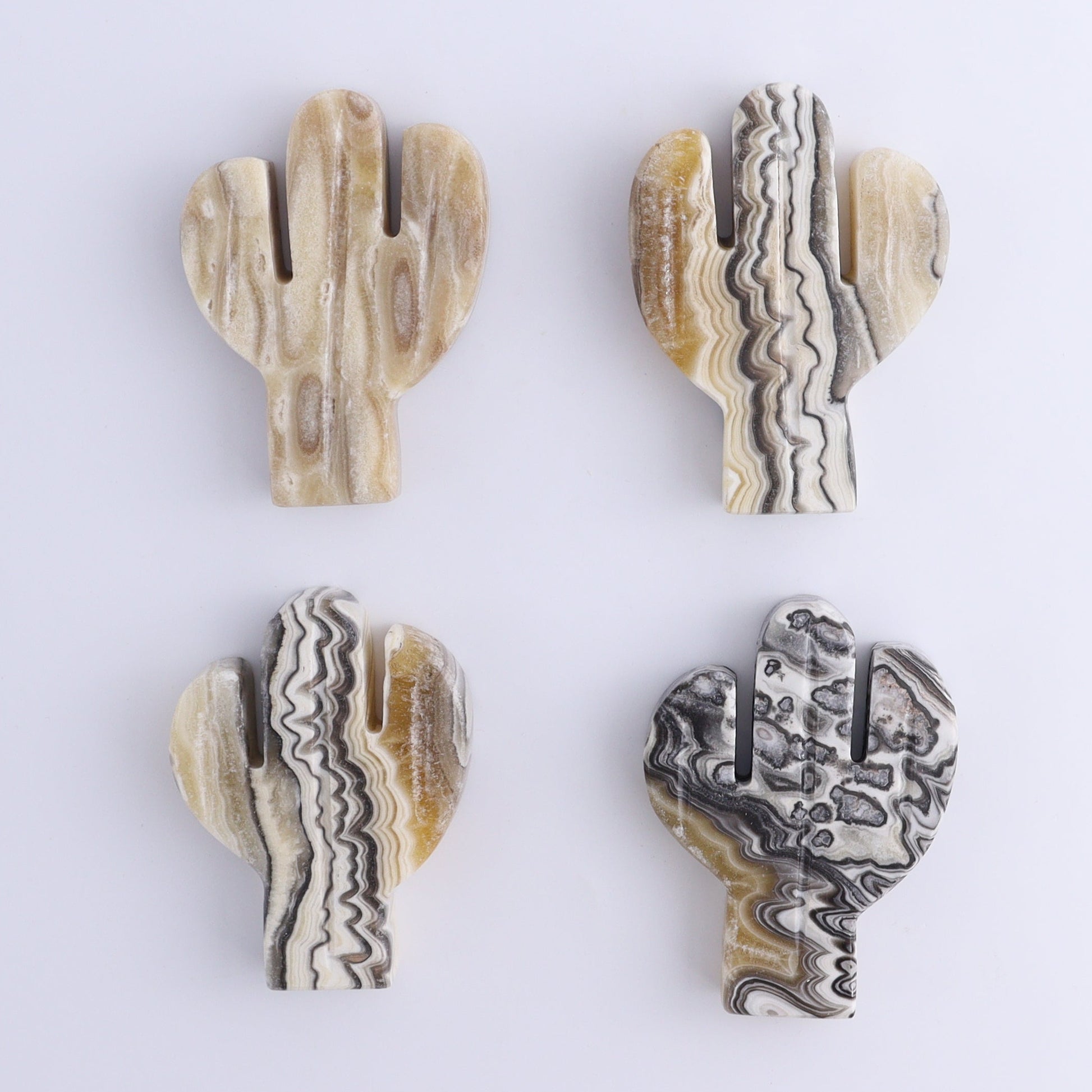 One Cactus Mexican Onyx/Calcite Black & Yellow Zebra 9 cm - Expert Wholesale and Supplier of Wholesale Crystals & Bulk Gemstones, ["Cactus","Calcite","Catalog Onyx","Mexico","onyx"]
