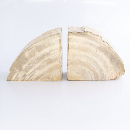 Bookends Petrified Wood - Expert Wholesale and Supplier of Wholesale Crystals & Bulk Gemstones, ["Bookends","Indonesia","Petrified Wood"]