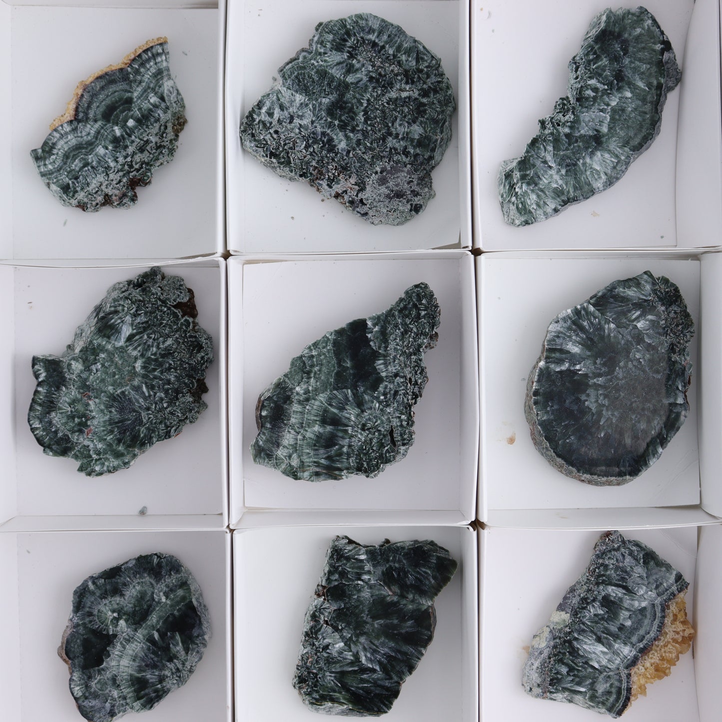Seraphinite Slices Set of 12 - Expert Wholesale and Supplier of Wholesale Crystals & Bulk Gemstones, ["Seraphinite","Slices and Slabs"]