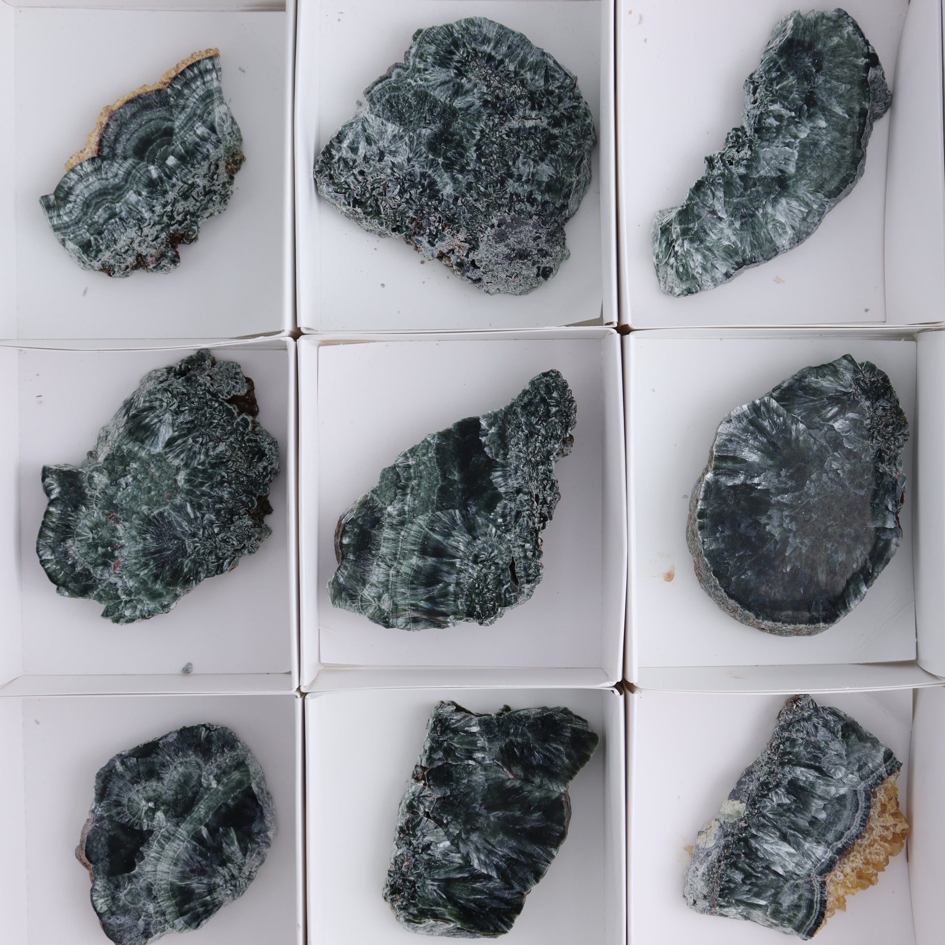 Seraphinite Slices Set of 12 - Expert Wholesale and Supplier of Wholesale Crystals & Bulk Gemstones, ["Seraphinite","Slices and Slabs"]