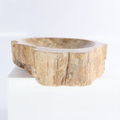 Petrified Wood Bowls Set of 2 - Expert Wholesale and Supplier of Wholesale Crystals & Bulk Gemstones, ["Bowls","Indonesia","Petrified Wood"]