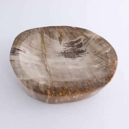 Bowl Petrified Wood - Expert Wholesale and Supplier of Wholesale Crystals & Bulk Gemstones, ["Bowls","Indonesia","Petrified Wood"]