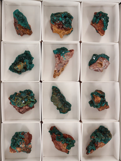 Dioptase Flat Set of 12