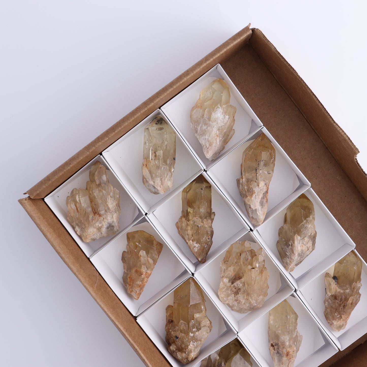 Congo Citrine Set of 12 - Expert Wholesale and Supplier of Wholesale Crystals & Bulk Gemstones, ["Citrine","Congo","Rough","Roughs"]