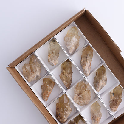 Congo Citrine Set of 12 - Expert Wholesale and Supplier of Wholesale Crystals & Bulk Gemstones, ["Citrine","Congo","Rough","Roughs"]