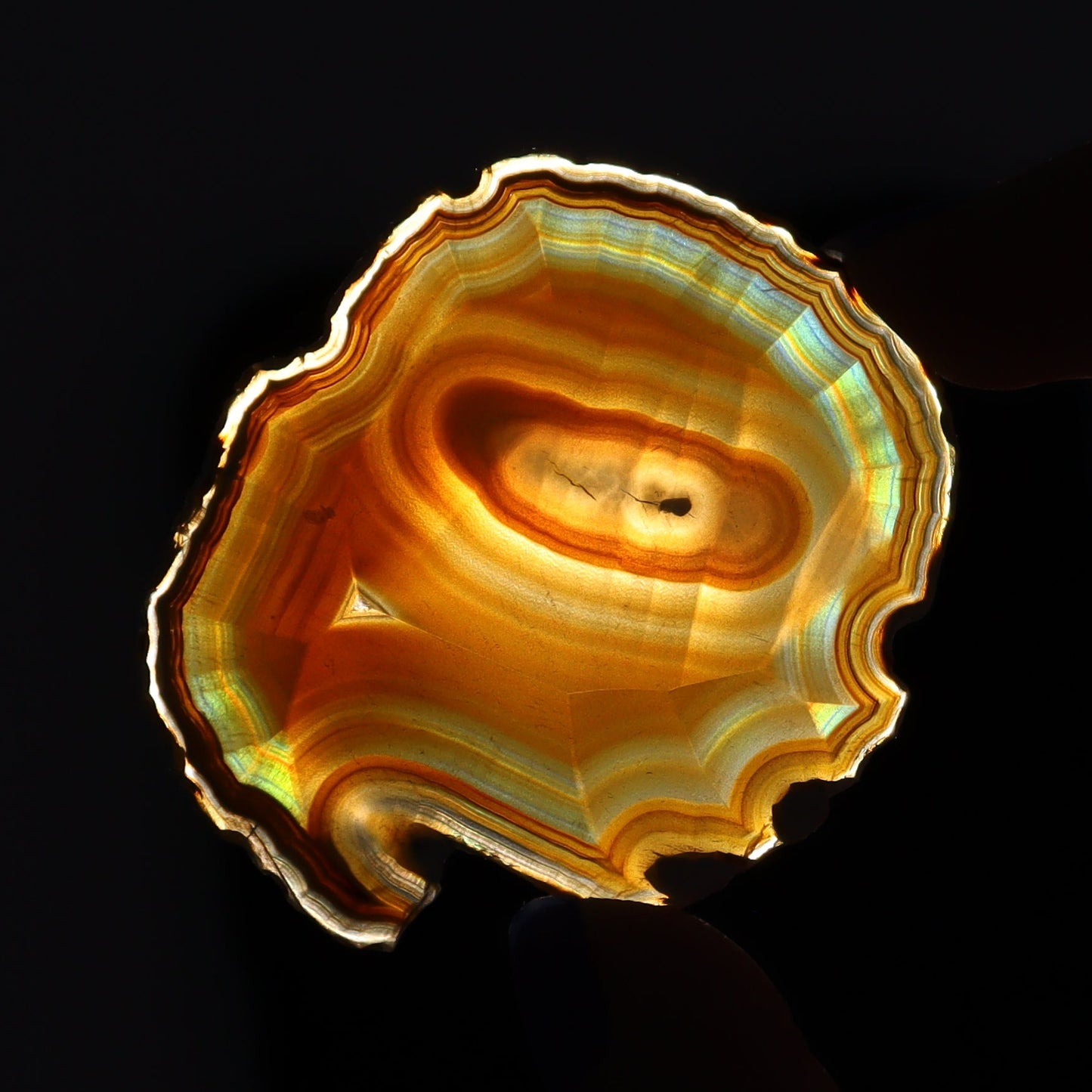 Iris Agate Slices Set of 7 - Expert Wholesale and Supplier of Wholesale Crystals & Bulk Gemstones, ["Agate","Iris Agate","Slices and Slabs"]