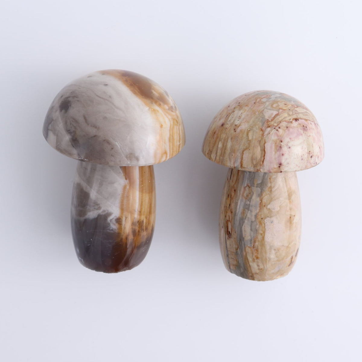 Jasper Mushrooms Set of 8
