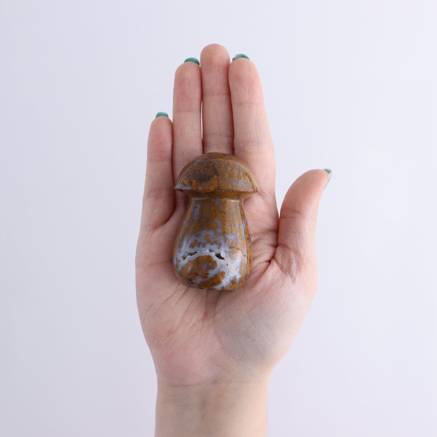 Brecciated Jasper Mushrooms Set of 12 - Expert Wholesale and Supplier of Wholesale Crystals & Bulk Gemstones, ["Brecciated Jasper","Indonesia","Mushrooms"]