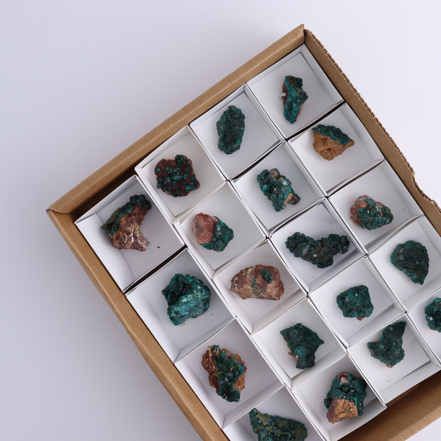 Dioptase Set of 19 - Expert Wholesale and Supplier of Wholesale Crystals & Bulk Gemstones, ["dioptase","Freeform","Freeforms"]