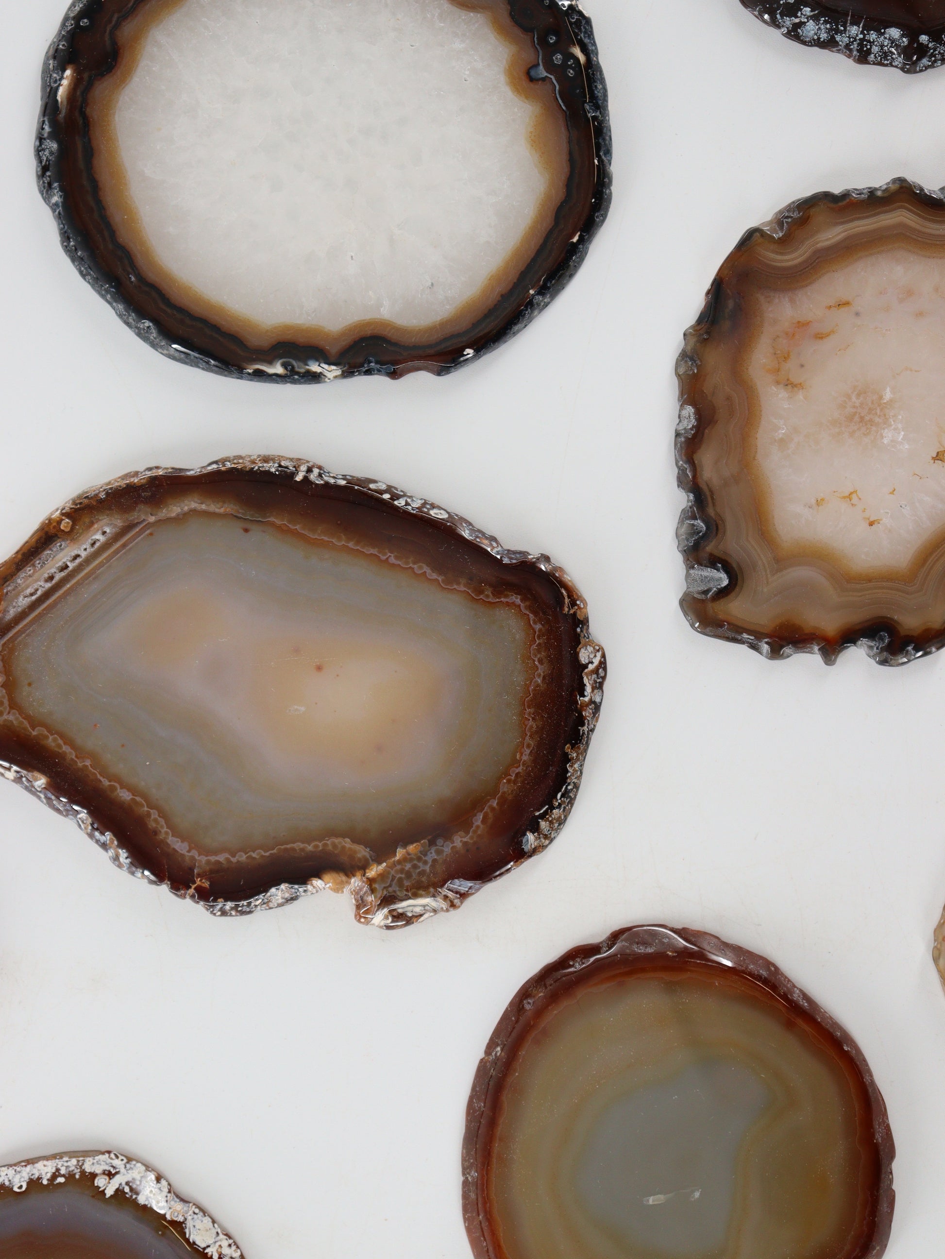 Agate Slices and Slabs Set of 11 - Expert Supplier of Wholesale Crystals & Bulk Gemstones