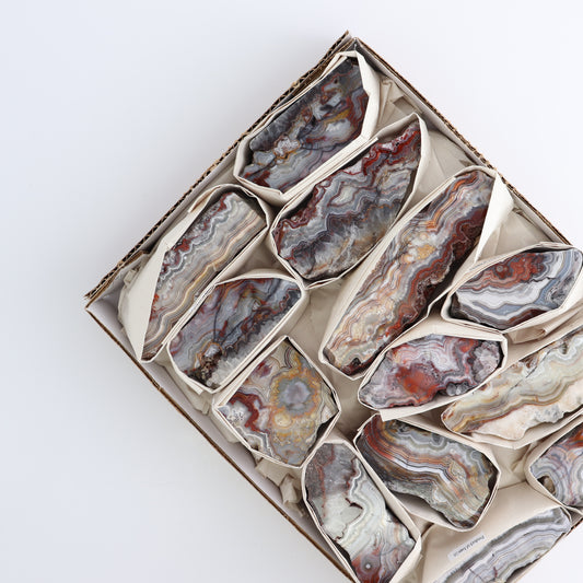 Crazy Lace Agate Flat of 13 - Expert Wholesale and Supplier of Wholesale Crystals & Bulk Gemstones, ["Crazy Lace Agate","Mexico"]