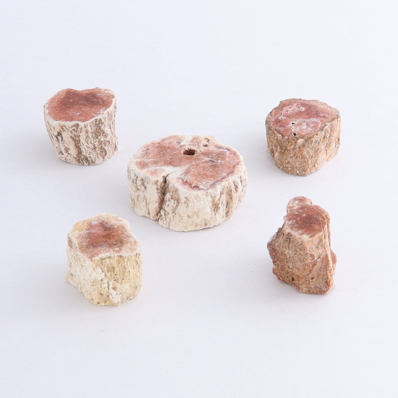 Petrified Wood Cut Bases Set of 30 - Expert Wholesale and Supplier of Wholesale Crystals & Bulk Gemstones, ["Cut Base","Petrified Wood"]