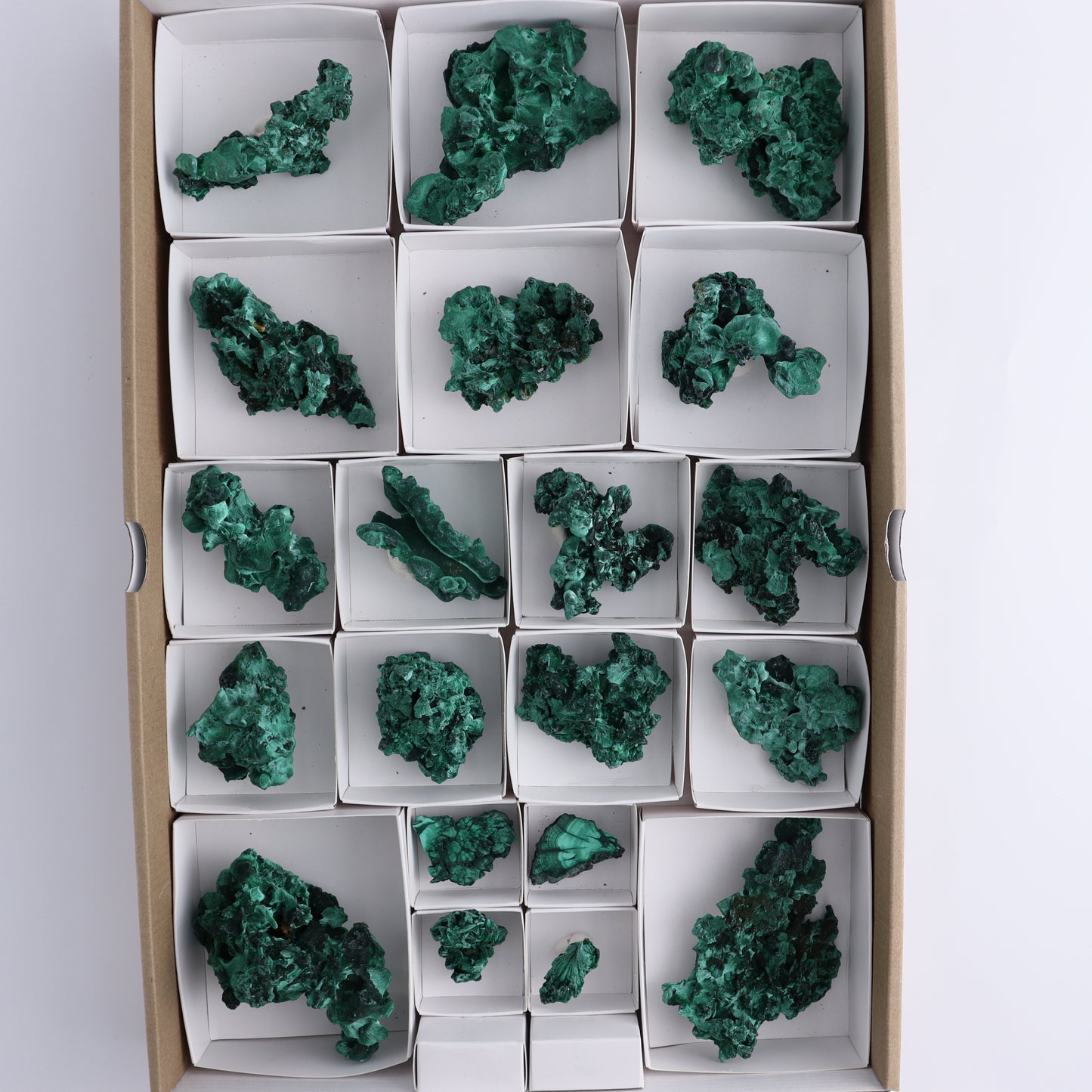 Malachite Freeforms Set of 20 - Expert Wholesale and Supplier of Wholesale Crystals & Bulk Gemstones, ["Freeform","Malachite","South Africa"]