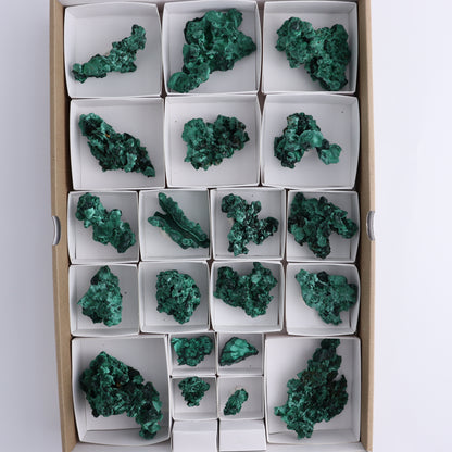 Malachite Freeforms Set of 20 - Expert Wholesale and Supplier of Wholesale Crystals & Bulk Gemstones, ["Freeform","Malachite","South Africa"]