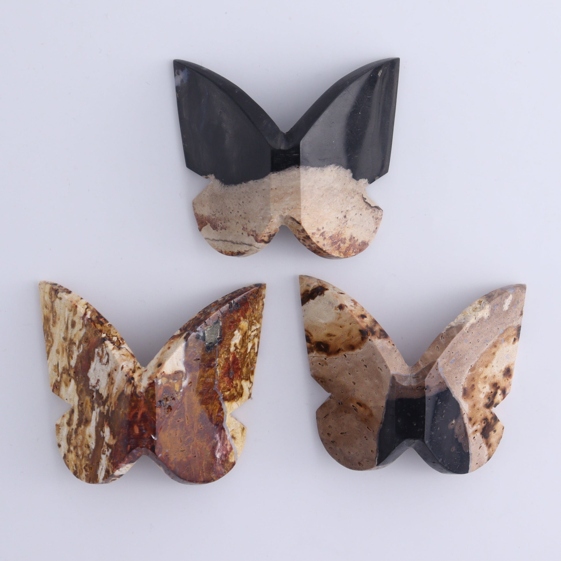 One Palm Root Agate Butterfly - Expert Wholesale and Supplier of Wholesale Crystals & Bulk Gemstones, ["Agate","Butterflies","Butterfly","Palm Root"]