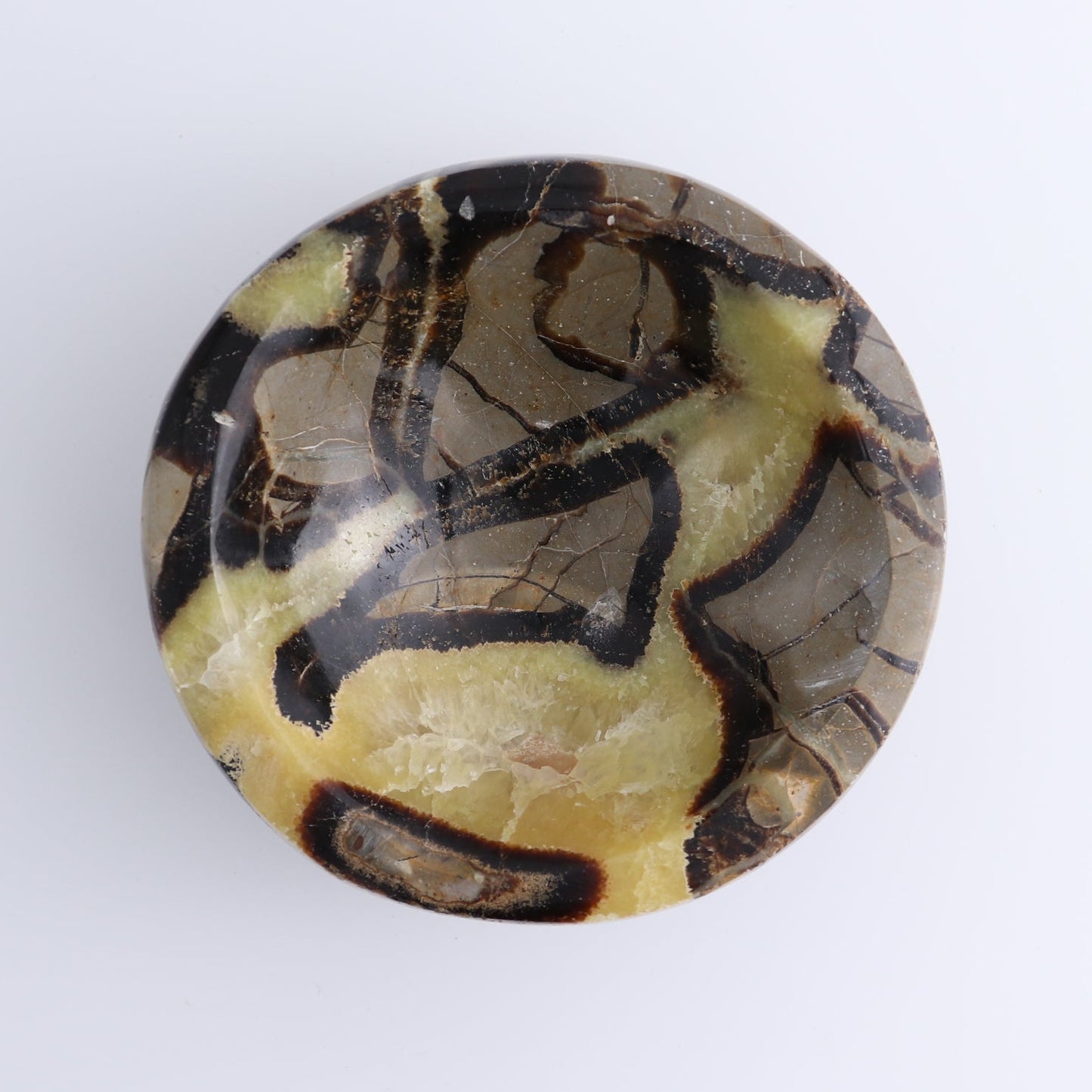 Septarian Bowl 5" | Mi Esperanza Minerals | Supplier of Crystals and Onyx
