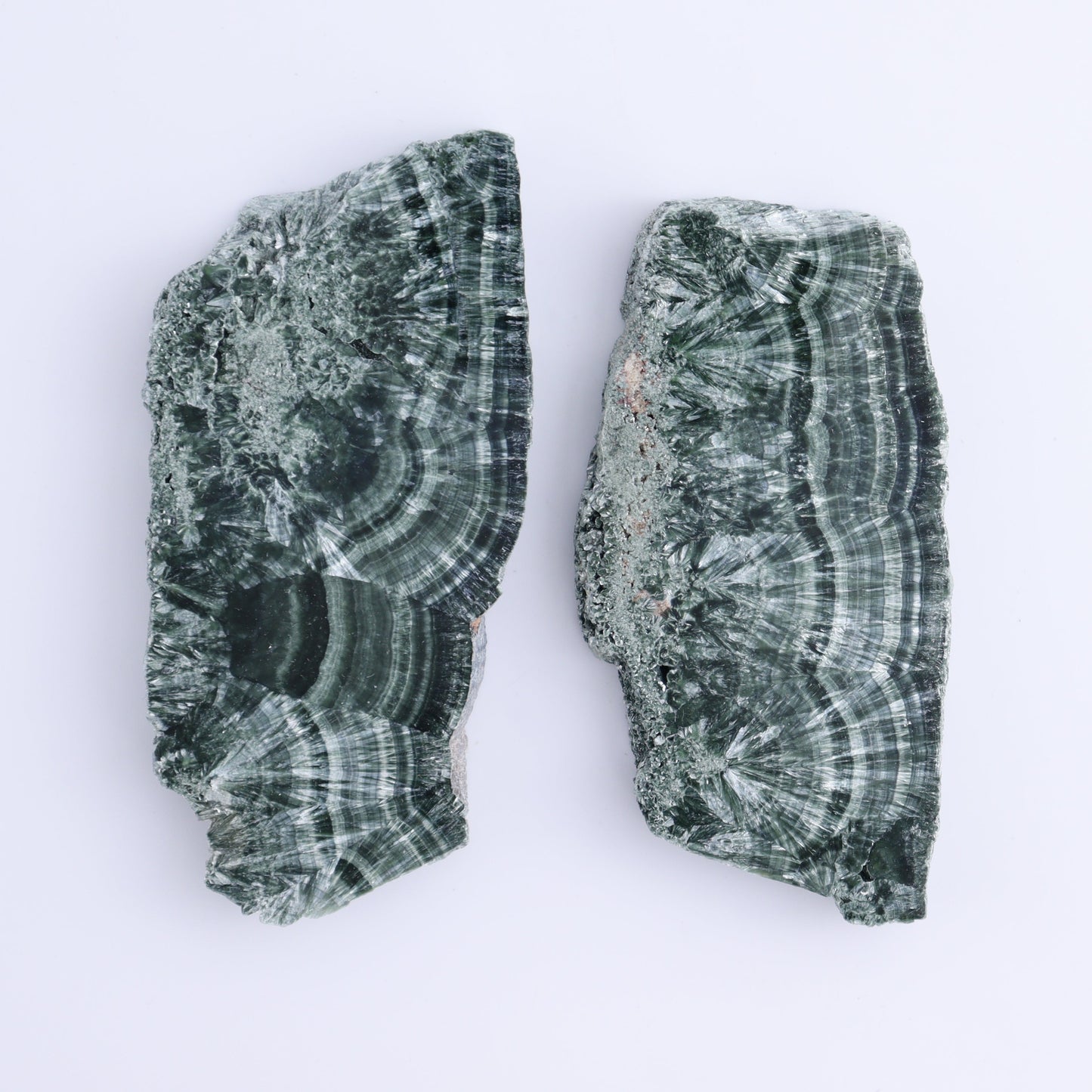 Seraphinite Slices Set of 6 - Expert Wholesale and Supplier of Wholesale Crystals & Bulk Gemstones, ["Russia","Seraphinite","Slices and Slabs"]