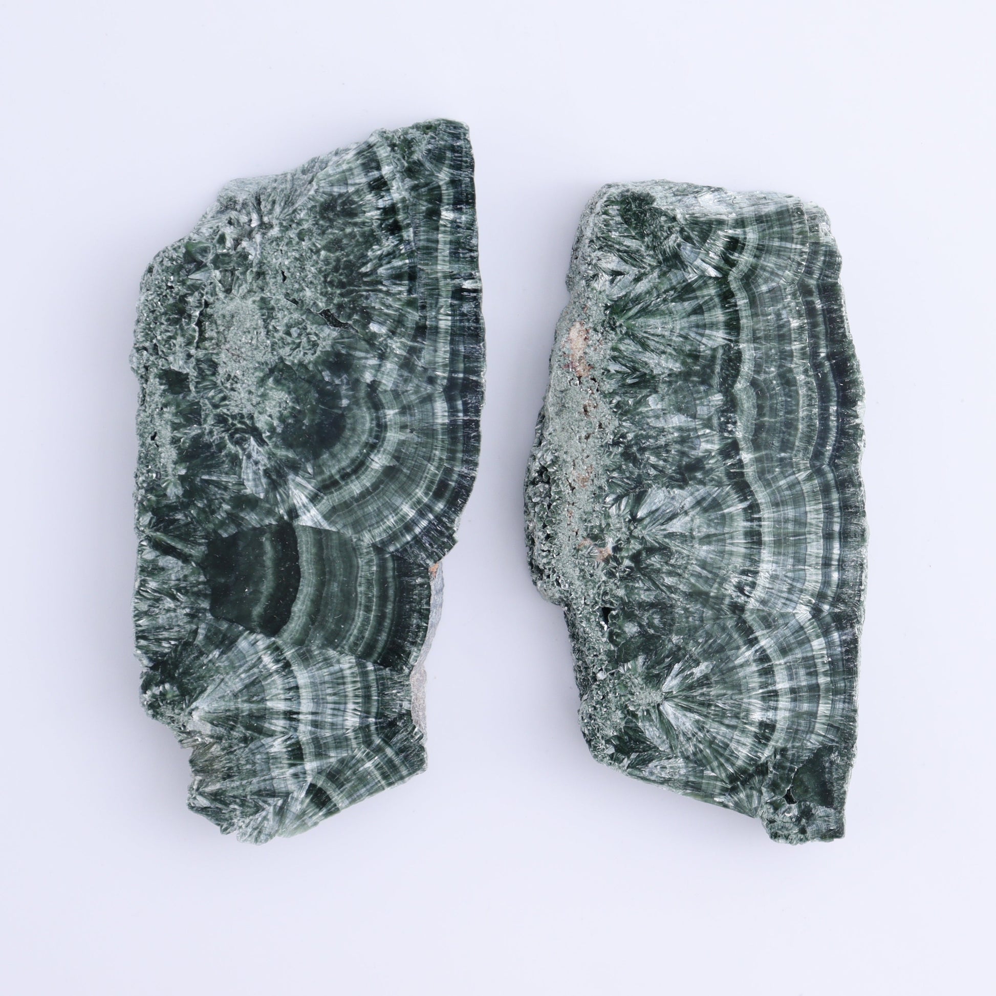 Seraphinite Slices Set of 6 - Expert Wholesale and Supplier of Wholesale Crystals & Bulk Gemstones, ["Russia","Seraphinite","Slices and Slabs"]