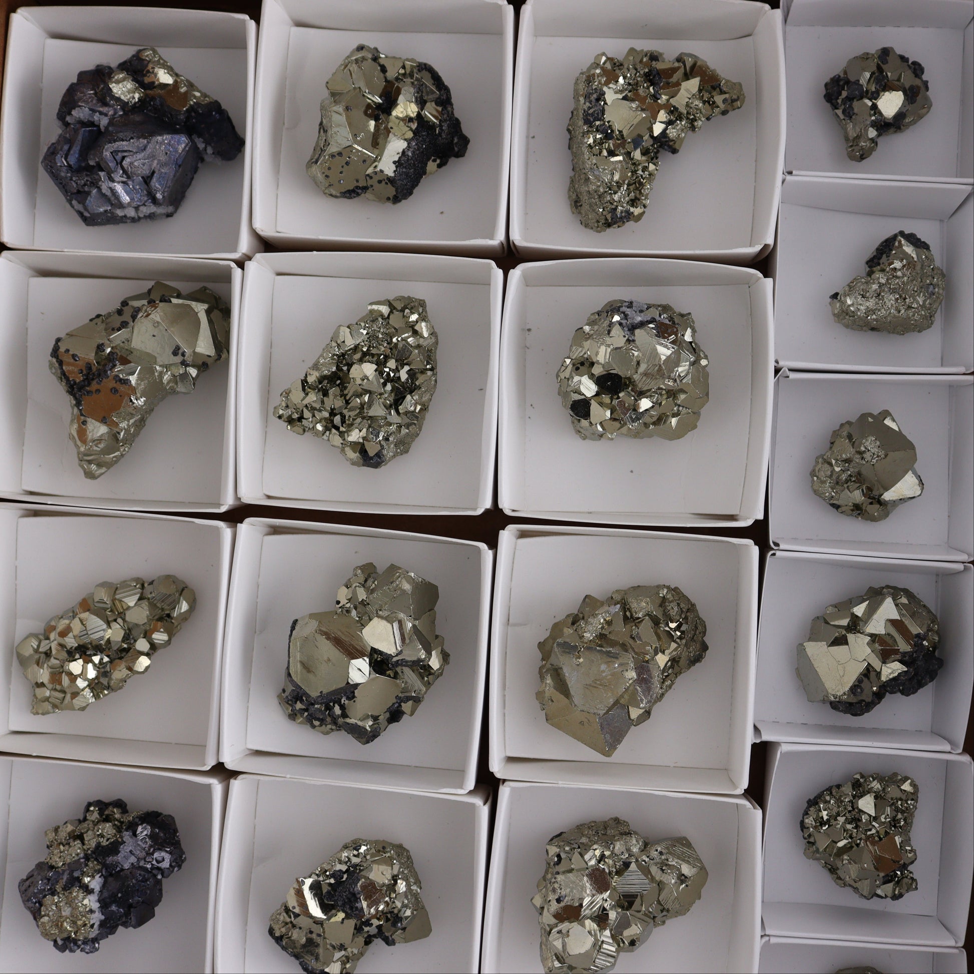 Octahedral Pyrite Clusters Set of 22 - Expert Wholesale and Supplier of Wholesale Crystals & Bulk Gemstones, ["Clusters","Octahedral Pyrite","Peru","Pyrite"]